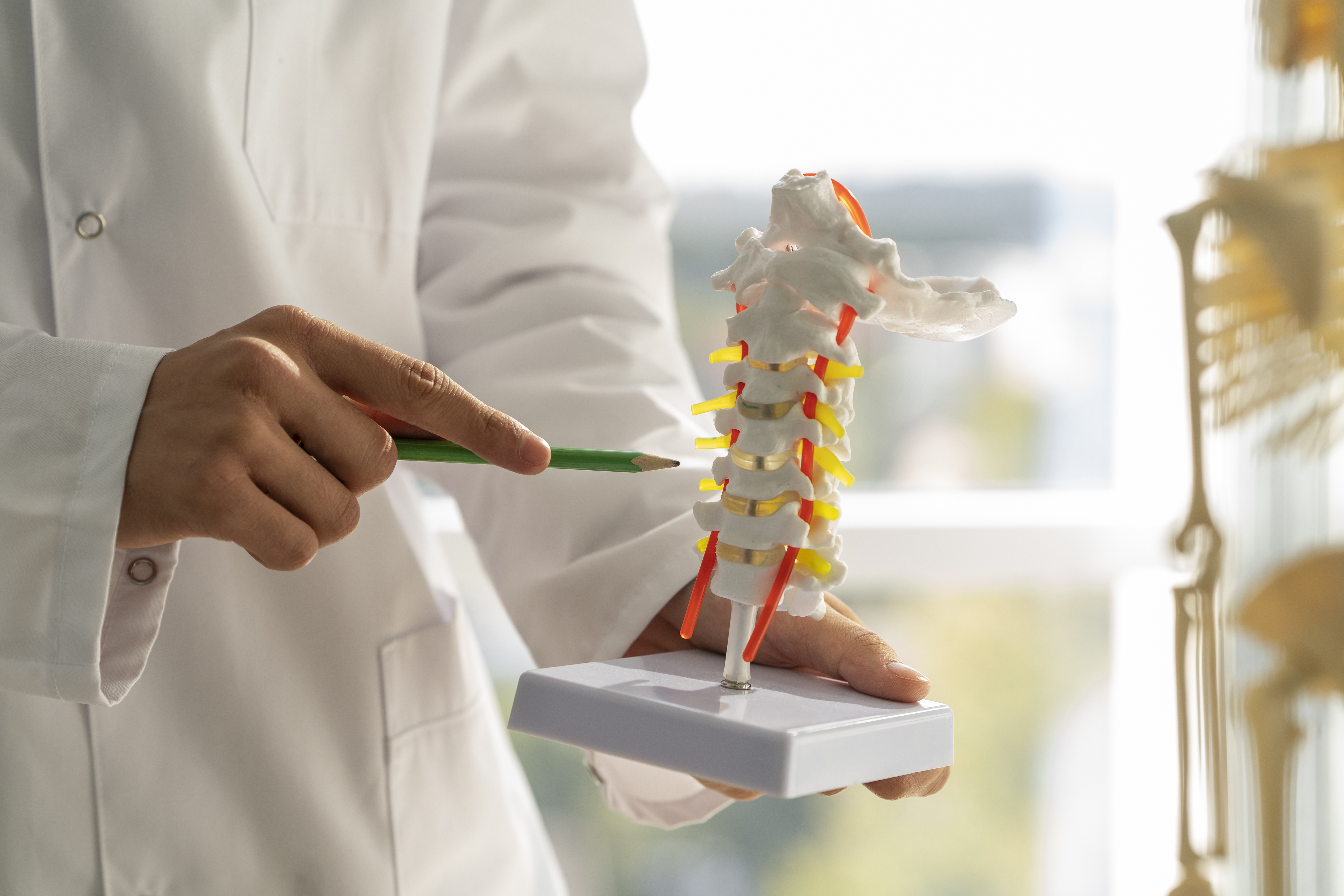 Osteoporose: cuide da saúde dos ossos